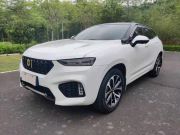 WEY VV7 2019款 升级款 2.0T 超豪型 国V